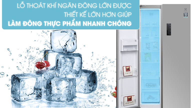 Tủ lạnh Electrolux Inverter 492 lít ESE5301AG-VN