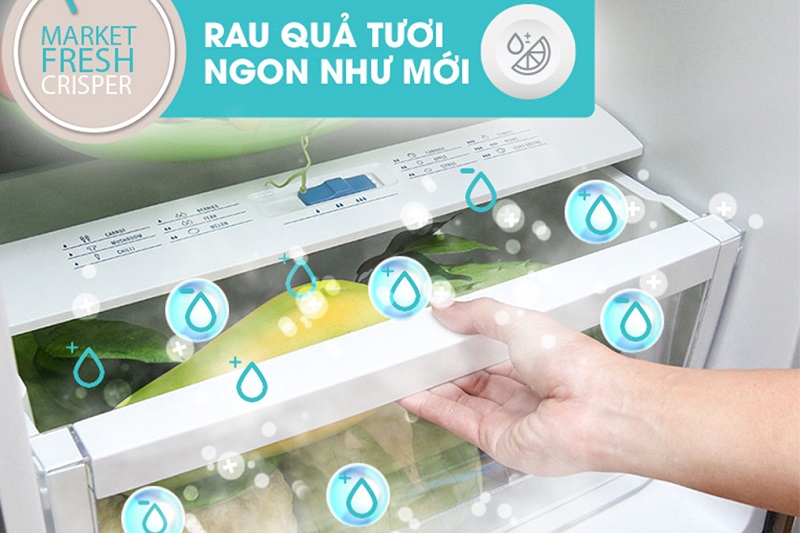 NgÄn rau cá»§ chuyÃªn biá»t Market Fresh cung cáº¥p Äá» áº©m cho rau cá»§ hiá»u quáº£