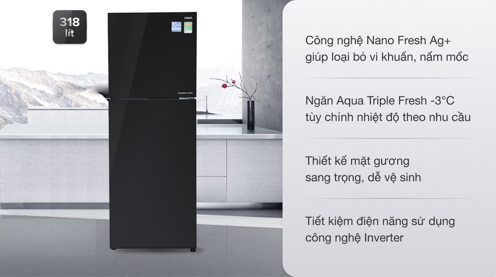 Tủ lạnh Aqua Inverter 318 lít AQR-IG356DN GBN