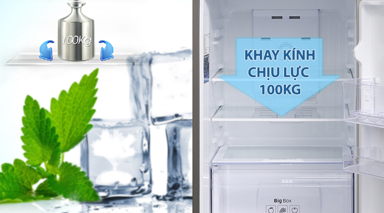 Tủ lạnh Samsung Inverter 208 lít RT20HAR8DDX/SV