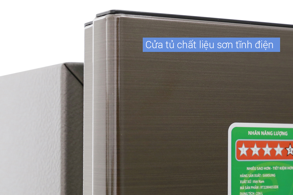 Tủ lạnh Samsung Inverter 236 lít RT22M4032DX/SV Màu Nâu