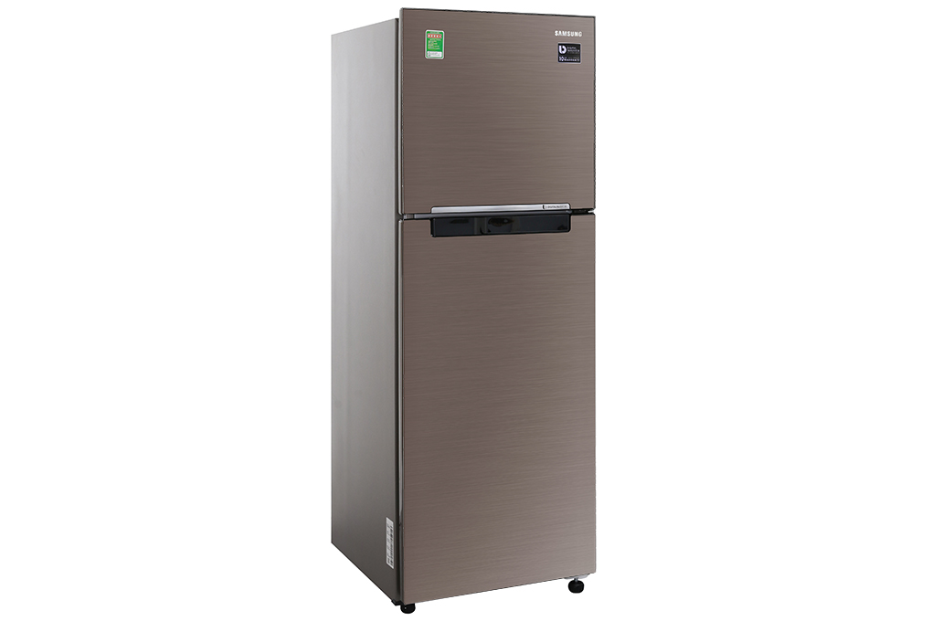 Tủ lạnh Samsung Inverter 236 lít RT22M4032DX/SV Màu Nâu