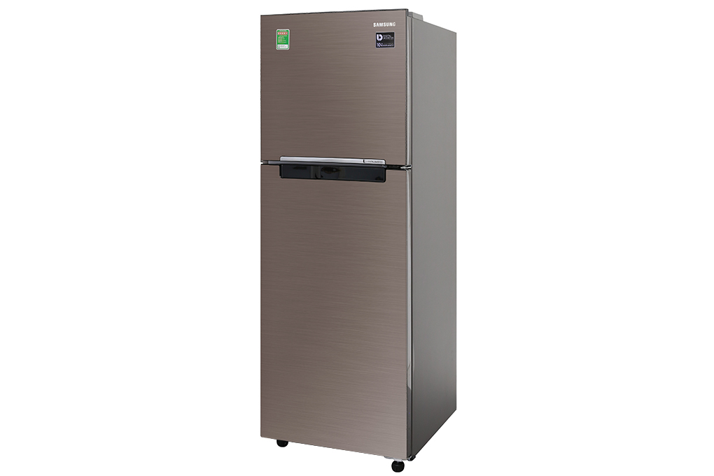 Tủ lạnh Samsung Inverter 236 lít RT22M4032DX/SV Màu Nâu