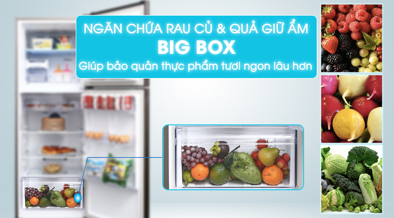 Tủ lạnh Samsung Inverter 299 lít RT29K5532DX/SV