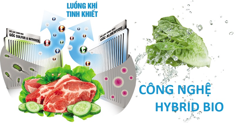 CÃ´ng nghá» khÃ¡ng khuáº©n, khá»­ mÃ¹i Hybrid Bio