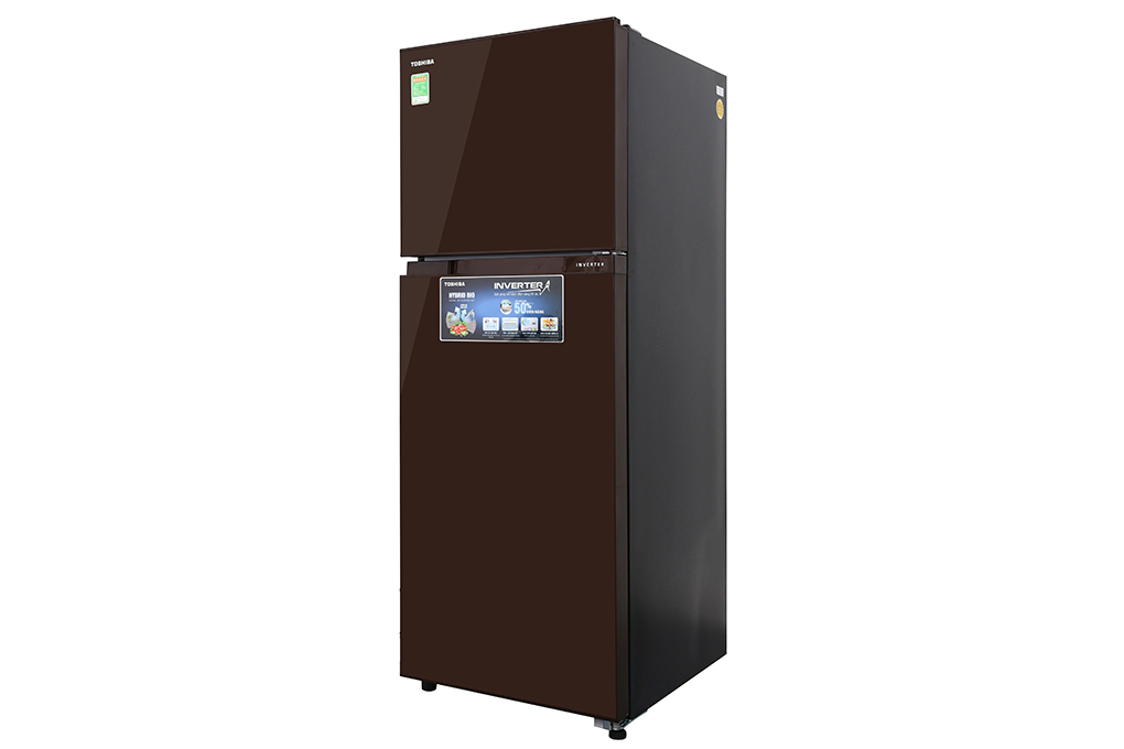 Tủ lạnh Toshiba Inverter 305 lít GR-AG36VUBZ XB Màu Nâu