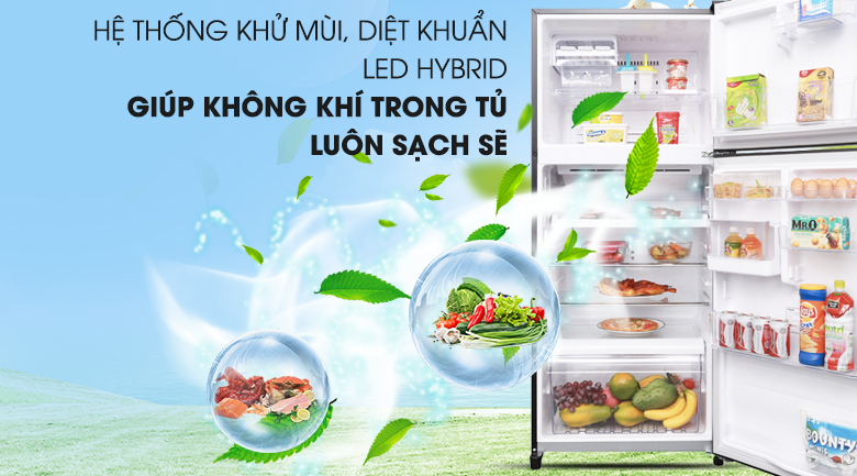 Tủ lạnh Toshiba Inverter 359 lít GR-AG41VPDZ XK