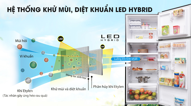 Công nghệ Hybrid Bio kết hợp tinh thể bạc Ag+  - Tủ lạnh Toshiba Inverter 409 lít GR-AG46VPDZ XK