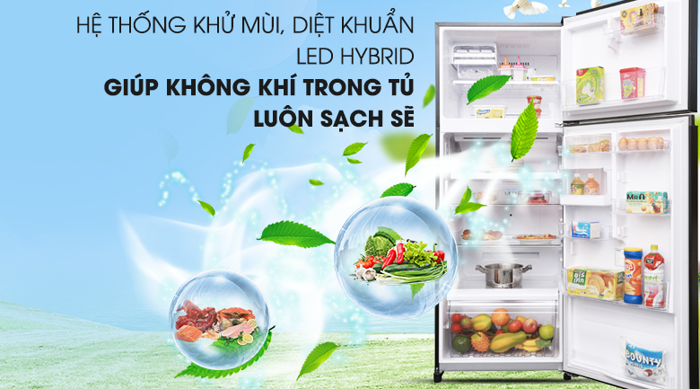 Tủ lạnh Toshiba Inverter 409 lít GR-AG46VPDZ XK