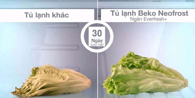 Đánh giá tổng quan Tủ lạnh Beko Inverter 323 lít RCNT340I50VZX > Neofrost+ Everfresh - Tá»§ lạnh Beko Inverter 323 lÃt RCNT340I50VZX