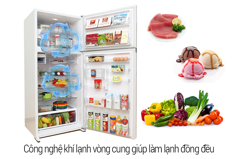 Luá»ng khÃ­ láº¡nh vÃ²ng cung cho thá»±c pháº©m ÄÆ°á»£c lÃ m láº¡nh Äá»ng Äá»u vÃ  hiá»u quáº£