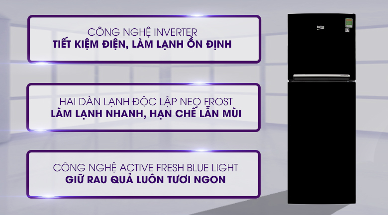 Tủ lạnh Beko Inverter 221 lít RDNT250I50VWB