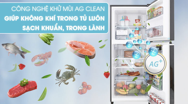 Tủ lạnh Panasonic Inverter 234 lít NR-BL267PKV1