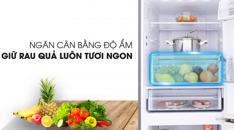 Tủ lạnh Panasonic Inverter 255 lít NR-BV289QSV2