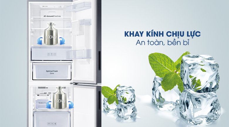 Tủ lạnh Samsung Inverter 307 lít RB30N4180B1/SV