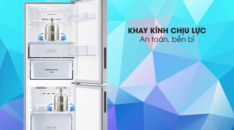 Tủ lạnh Samsung Inverter 280 lít RB27N4010S8/SV