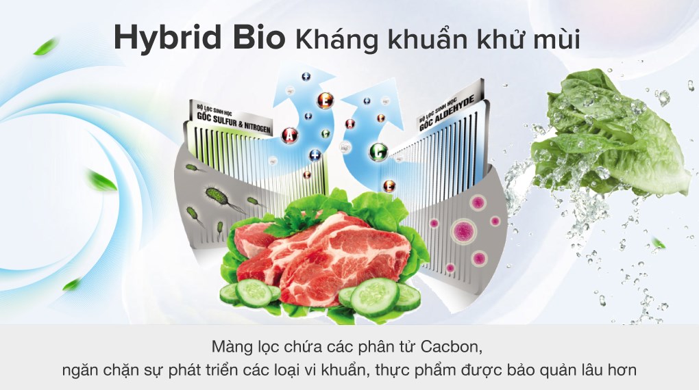 Tủ lạnh Toshiba Inverter 305 lít GR-AG36VUBZ XB1