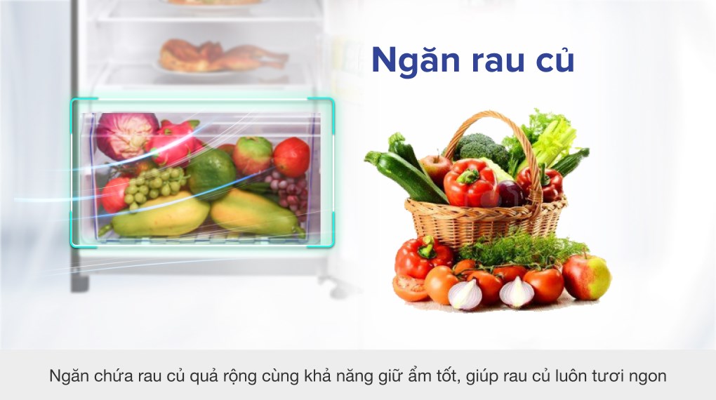 Tủ lạnh Toshiba Inverter 305 lít GR-AG36VUBZ XB1