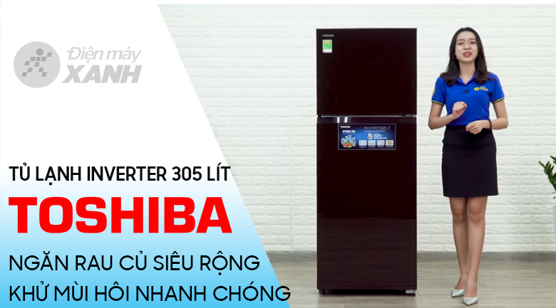 Tủ lạnh Toshiba Inverter 305 lít GR-AG36VUBZ XB1
