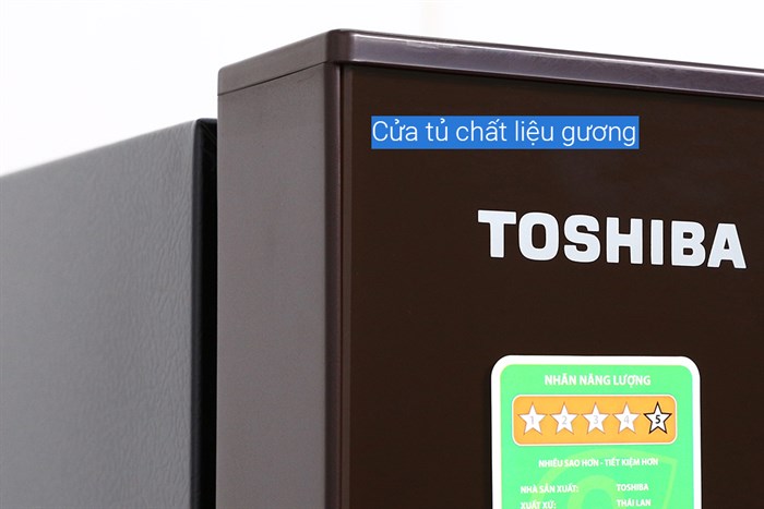 Tủ lạnh Toshiba Inverter 305 lít GR-AG36VUBZ XB1 Màu Nâu
