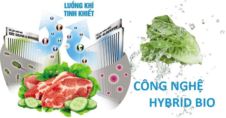 Công nghệ Hybrid Bio - Tủ lạnh Toshiba Inverter 330 lít GR-AG39VUBZ XK1