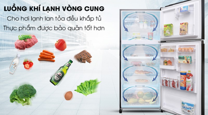 Làm lạnh đồng đều cho thực phẩm với hệ thống làm lạnh vòng cung - Tủ lạnh Toshiba Inverter 359 lít GR-AG41VPDZ XK1