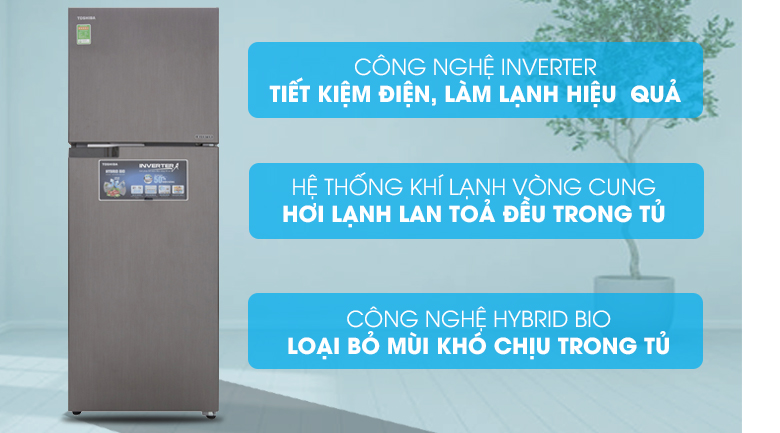 Tủ lạnh Toshiba Inverter 305 lít GR-A36VUBZ DS1