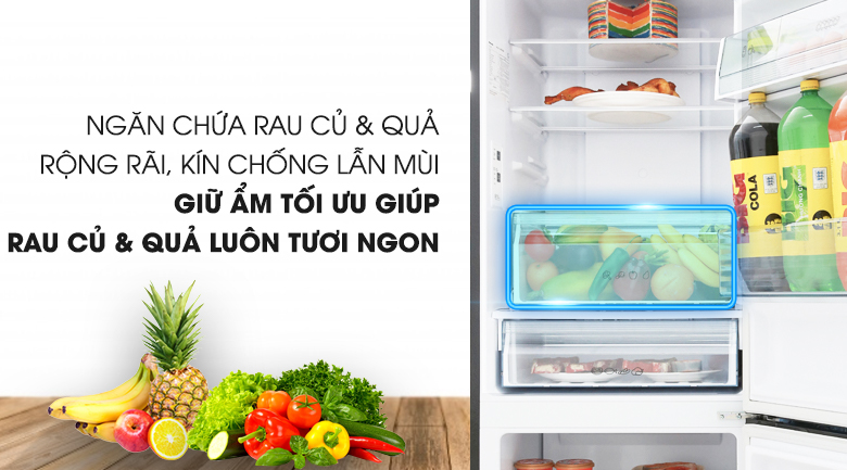 Tủ lạnh Panasonic Inverter 290 lít NR-BV328GMV2