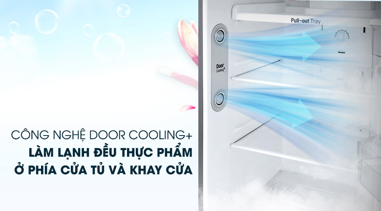 Làm lạnh đồng đều với công nghệ DoorCooling - Tủ lạnh LG Inverter 315 lít GN-L315S