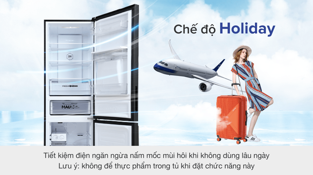 Tủ lạnh Aqua Inverter 288 lít AQR-IW338EB BS