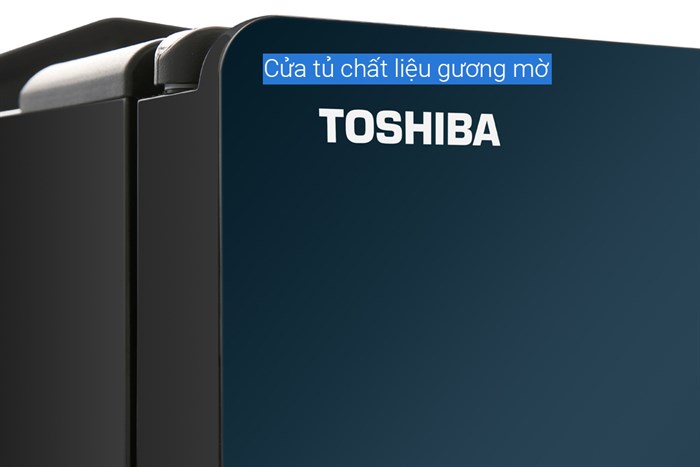 Tủ lạnh Toshiba Inverter 622 lít GR-RF646WE-PGV(24) Màu Xanh Navy