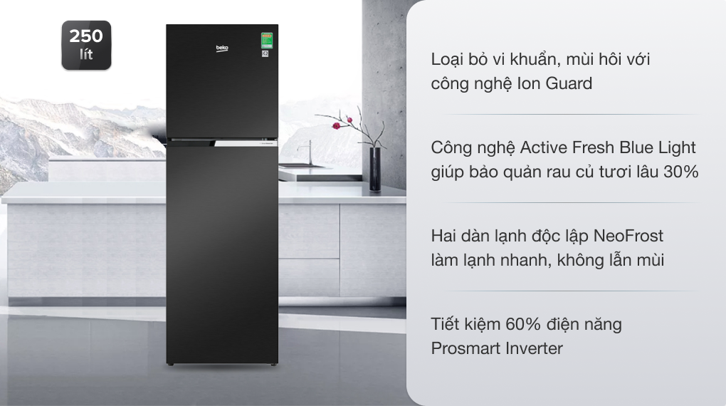 Tủ lạnh Beko Inverter 250 lít RDNT271I50VWB