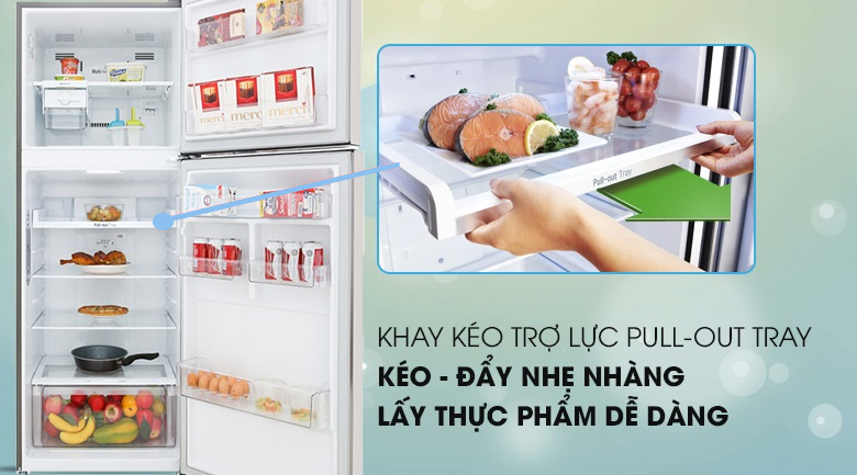 Tủ lạnh LG Inverter 393 lít GN-M422PS - 13