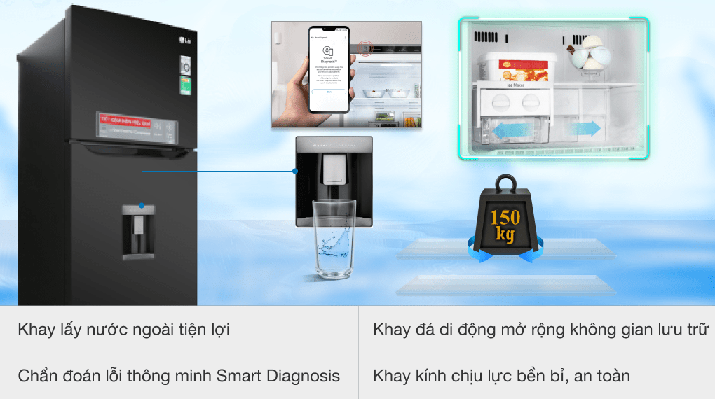 Tủ lạnh LG Inverter 315 lít GN-D315BL