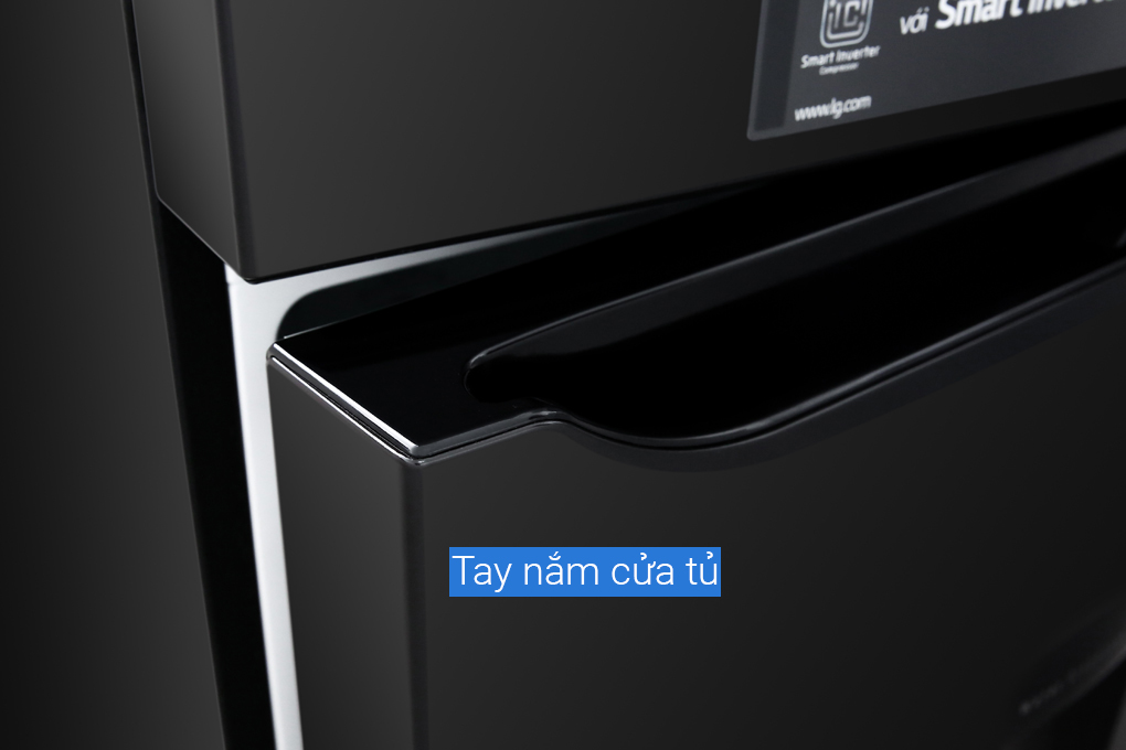 Siêu thị tủ lạnh LG Inverter 315 lít GN-D315BL