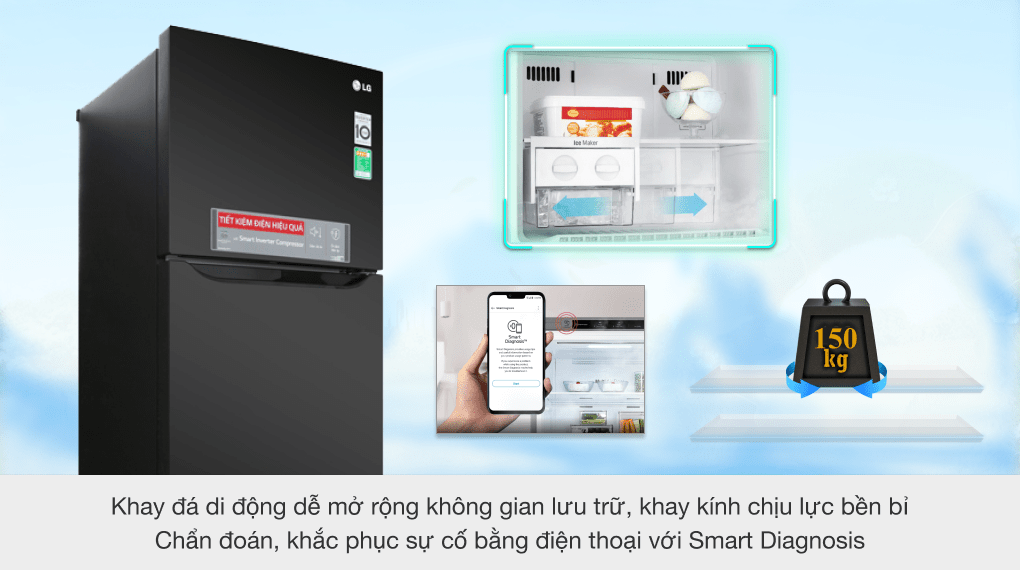 Tủ lạnh LG Inverter 315 lít GN-M315BL