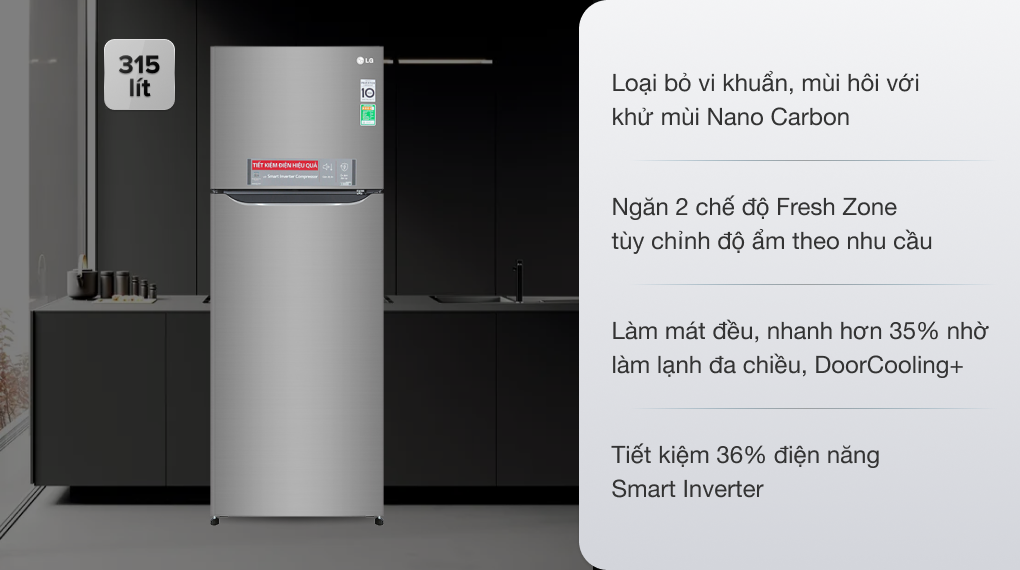 Tủ lạnh LG Inverter 315 lít GN-M315PS