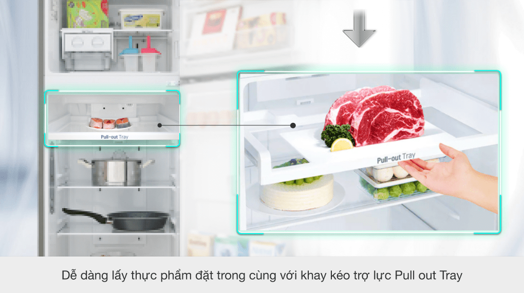 Tủ lạnh LG Inverter 315 lít GN-M315PS