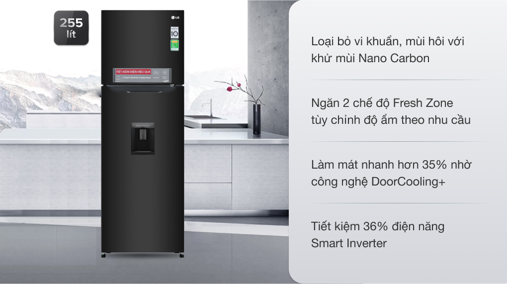 Tủ lạnh LG Inverter 255 lít GN-D255BL