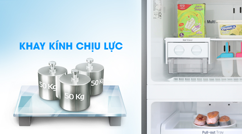 Tủ lạnh LG Inverter 255 lít GN-D255BL - 21