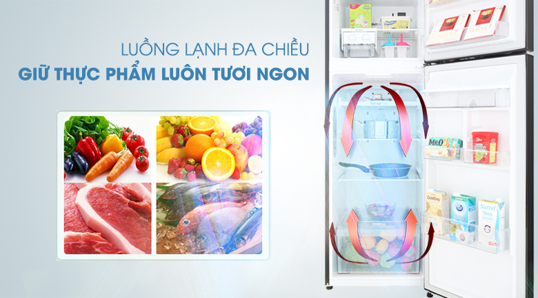 Tủ lạnh LG Inverter 255 lít GN-D255BL - 4