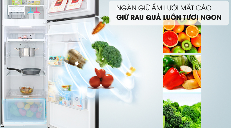 Tủ lạnh LG Inverter 255 lít GN-D255BL - 13