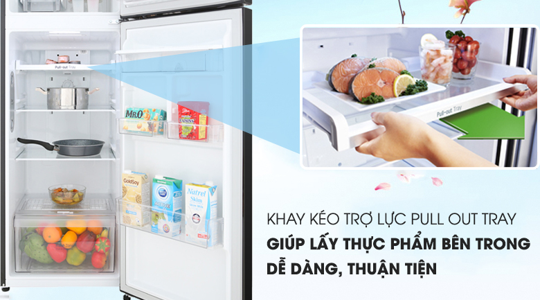 Tủ lạnh LG Inverter 255 lít GN-D255BL - 17
