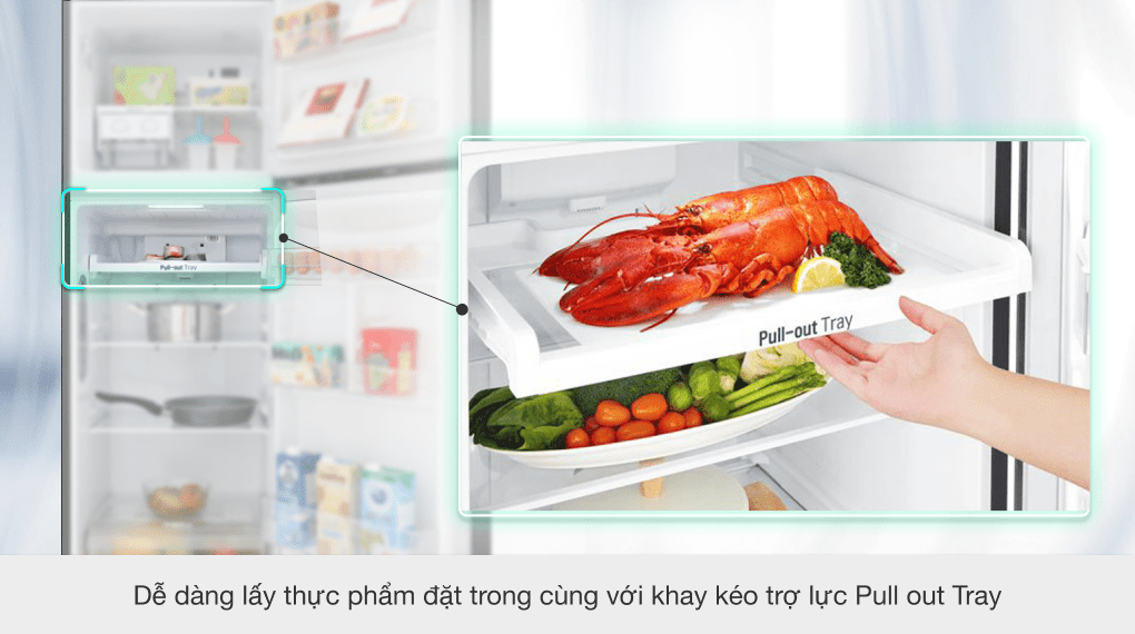 Tủ lạnh LG Inverter 255 lít GN-M255BL - 14