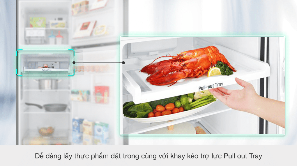 Tủ lạnh LG Inverter 255 lít GN-M255BL