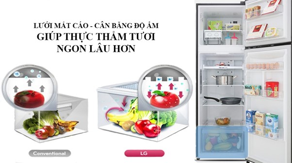 Hệ thống khí lạnh đa chiều - Tủ lạnh LG Inverter 255 lít GN-M255BL