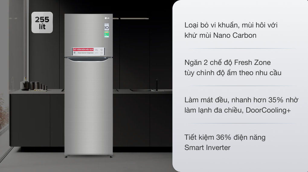 Tủ lạnh LG Inverter 255 lít GN-M255PS