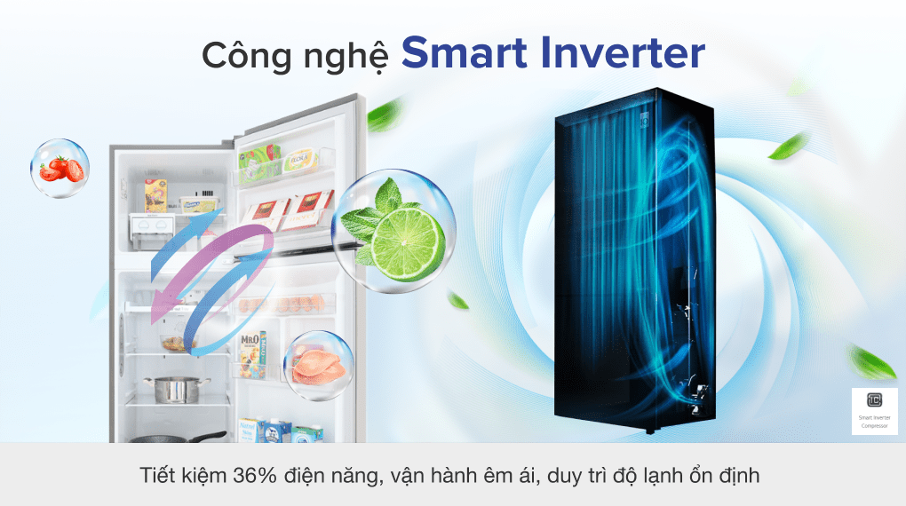 Tủ lạnh LG Inverter 255 lít GN-M255PS