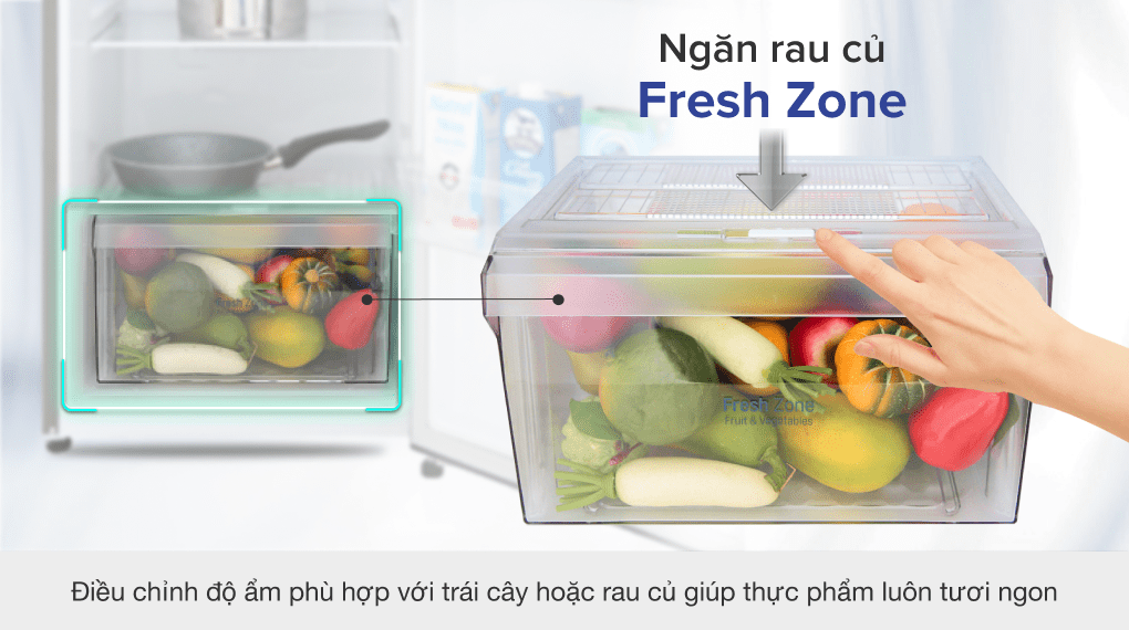 Tủ lạnh LG Inverter 255 lít GN-M255PS