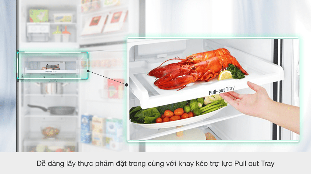 Tủ lạnh LG Inverter 209 lít GN-M208BL - 15